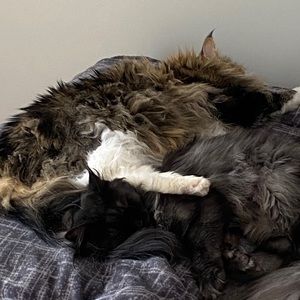 Meet your Posher, Katie